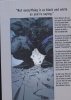 JEPH LOEB TIM SALE HULK GALLERY EDITION HC [STANDARD] [9781302953072]